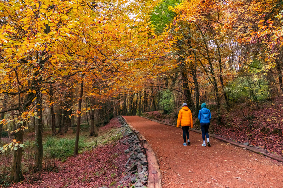 Belgrad Ormanı Sonbahar: Kısacası, fotoğrafçılar için Belgrad Ormanları'nın en güzel mevsimi sonbahardır..