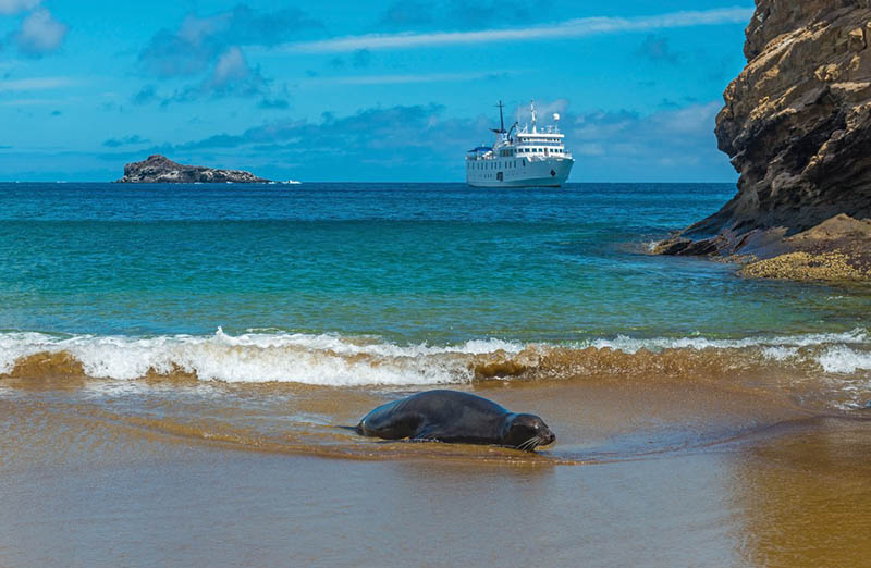 Galapagos Adaları Cruise Rotası