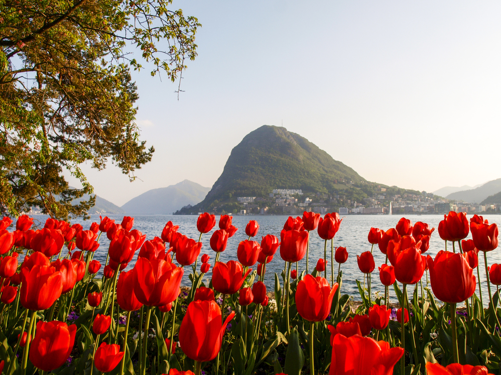 Lugano Gölü