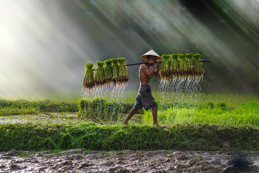 Vietnam