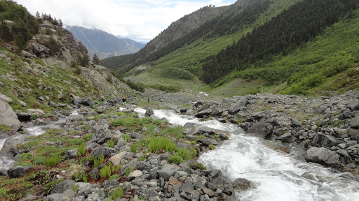 Artvin Gezi Rehberi