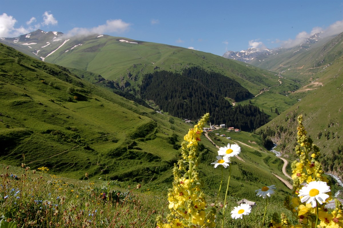 Rize Gezi Rehberi