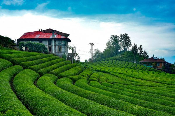 Rize Gezi Rehberi