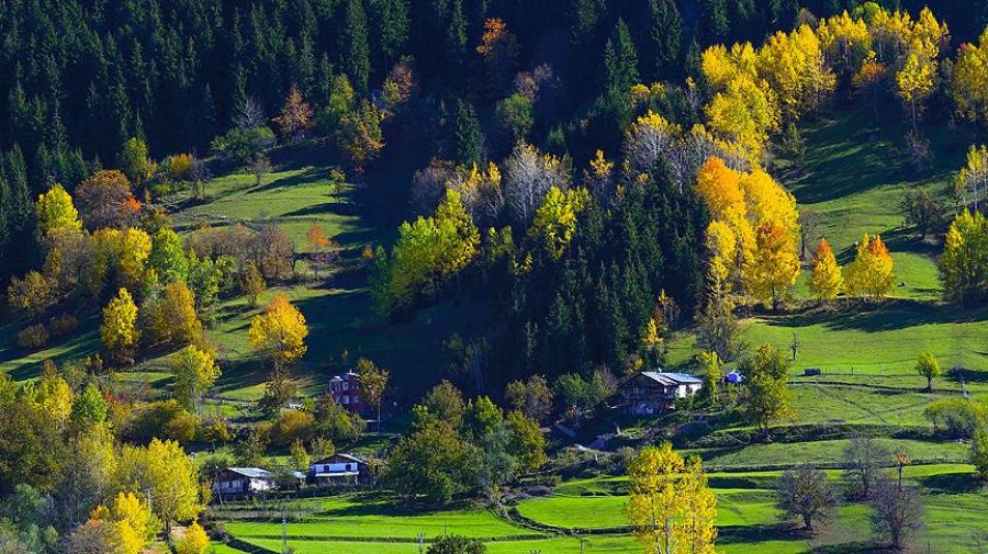 Artvin Gezi Rehberi