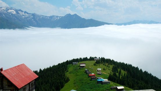 Pokut Yaylası